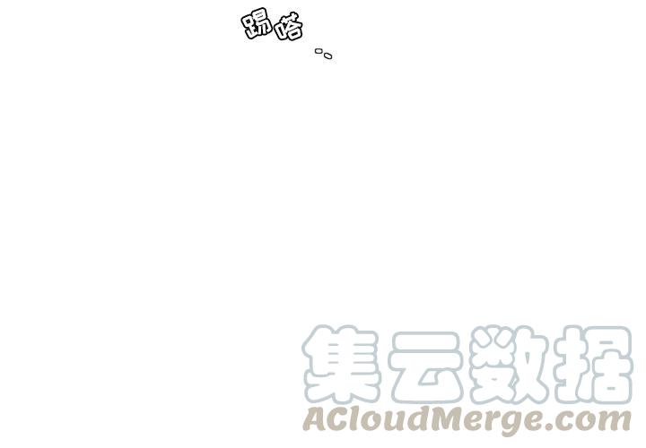 花园鱼缸制作过程漫画,1004图