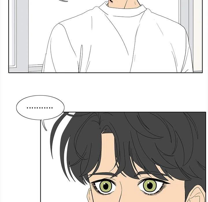 花园鱼缸制作过程漫画,935图