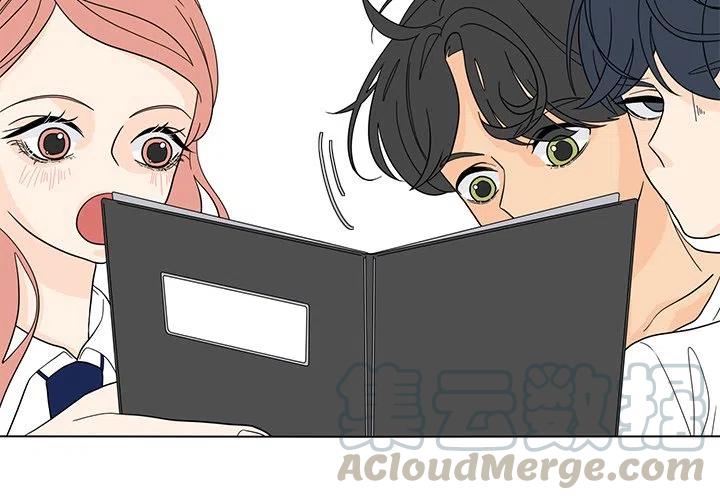 花园鱼缸制作过程漫画,534图