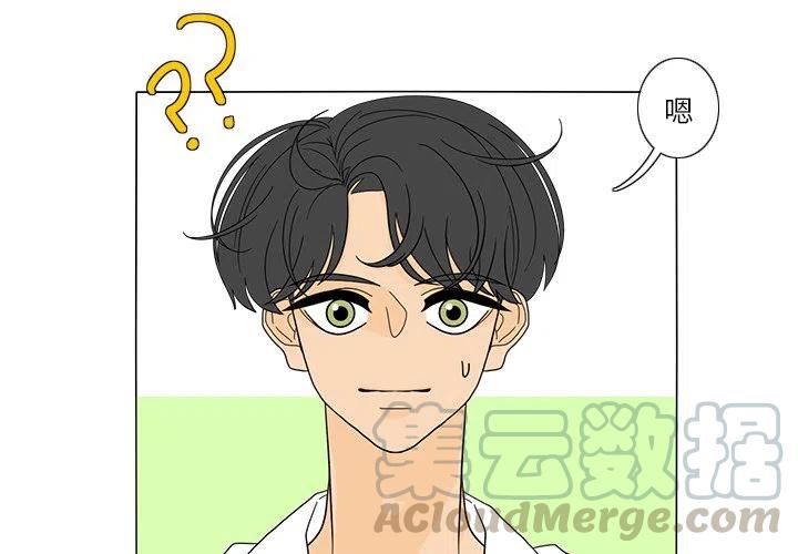 花园鱼缸制作过程漫画,264图