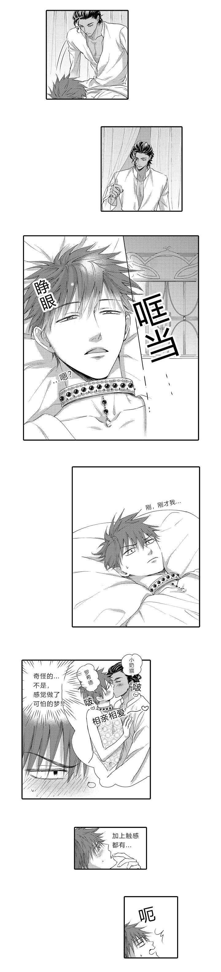 王子的困境完结漫画全集免费漫画,第12话1图