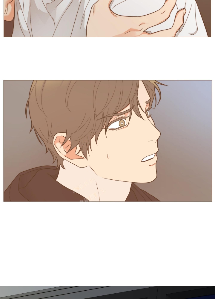 囚笼之爱第二十八章漫画,第43话4图