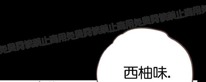 掠夺你的视线漫画,第4话番外4图