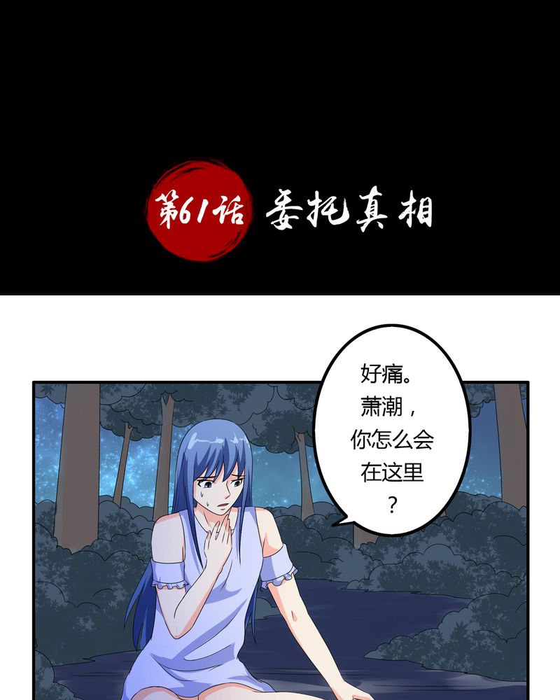 第61章：委托真相1