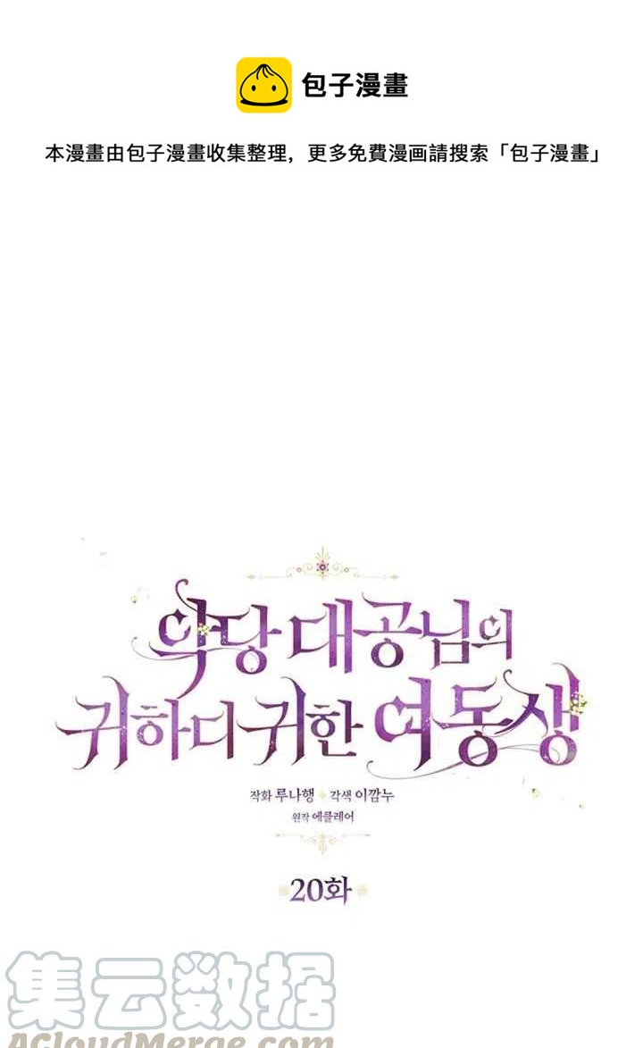 恶棍公爵的宝贝妹妹最后的结局漫画,第20话1图