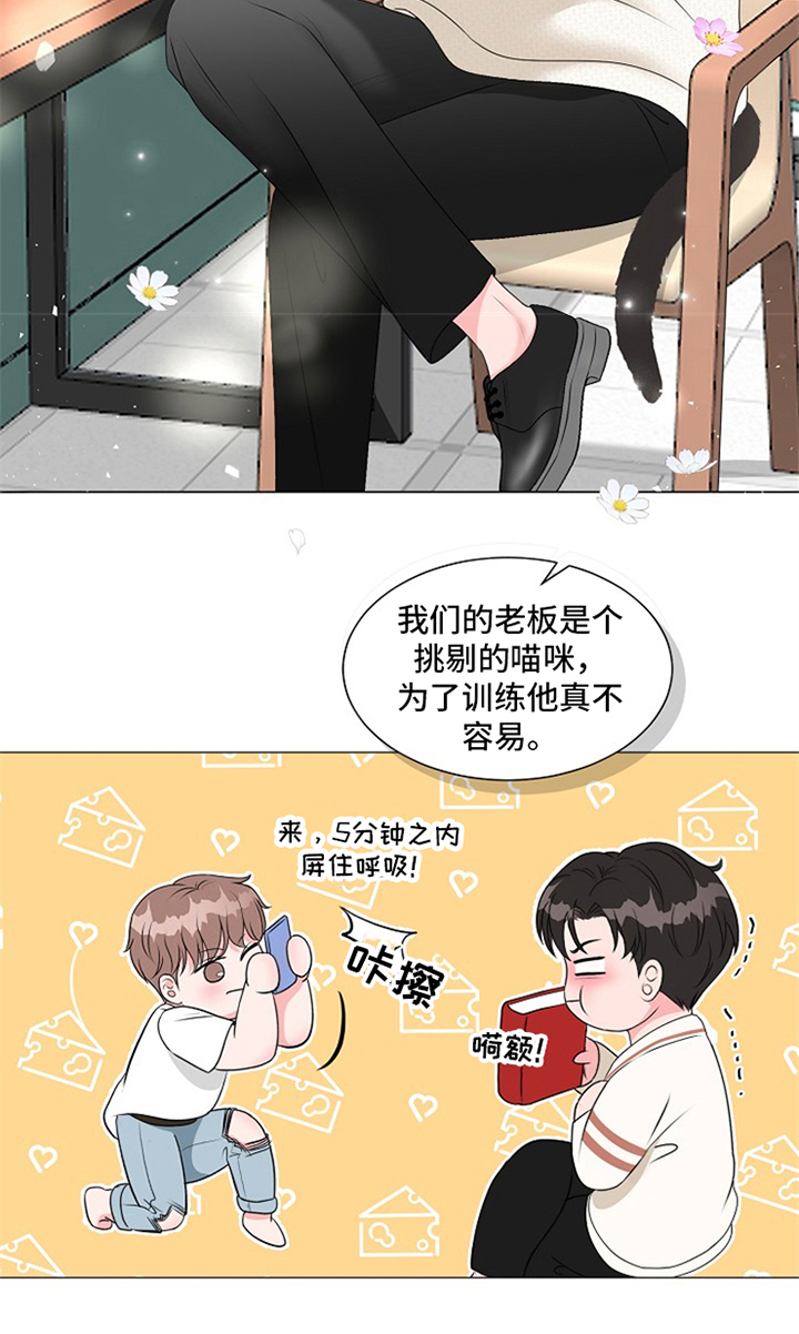 第11章：惊喜2
