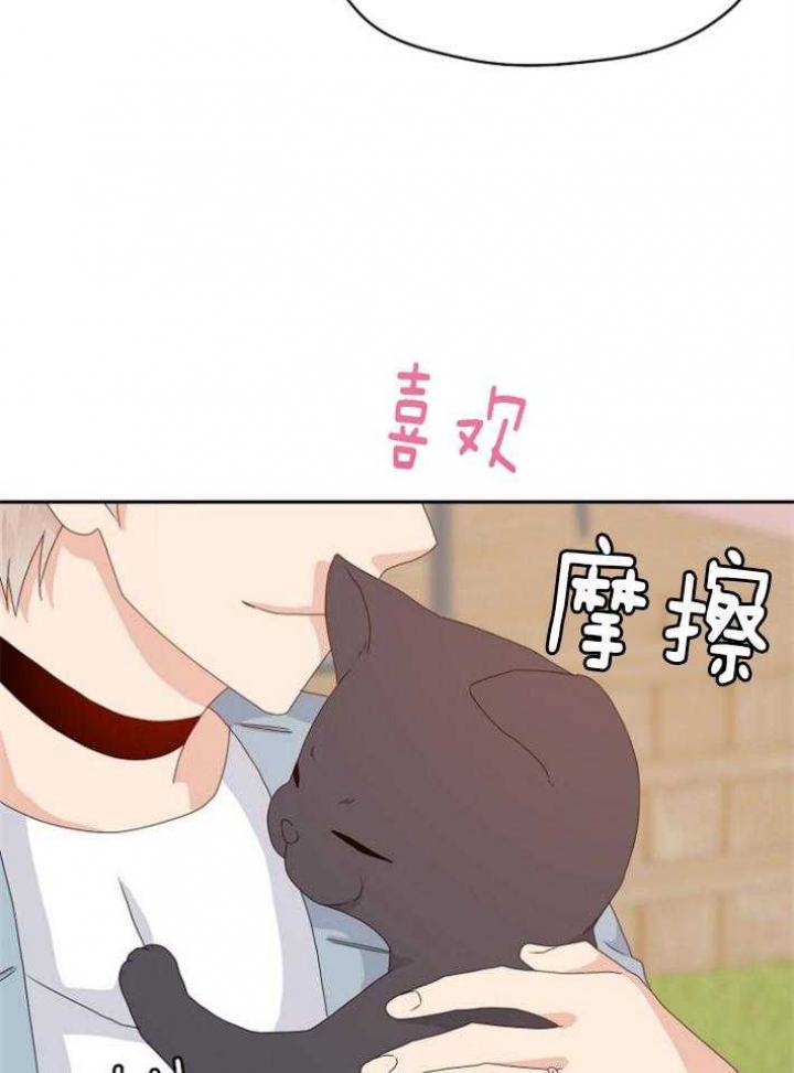 欧米伽3有什么作用漫画,第79话2图