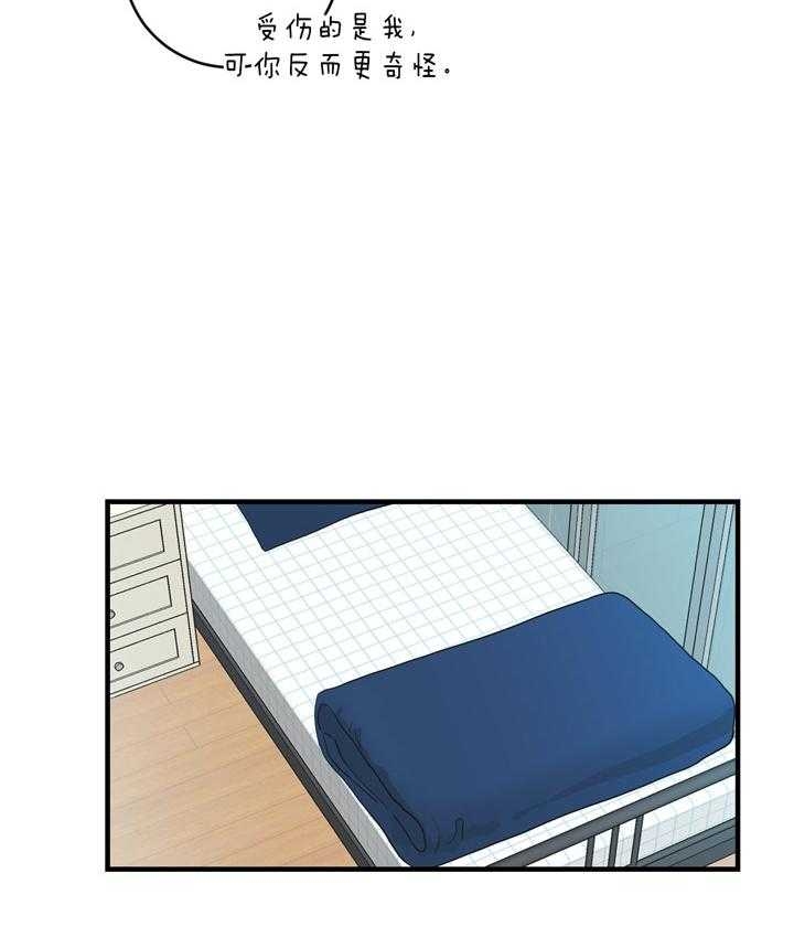 追爱家族免费观看漫画,第78话4图