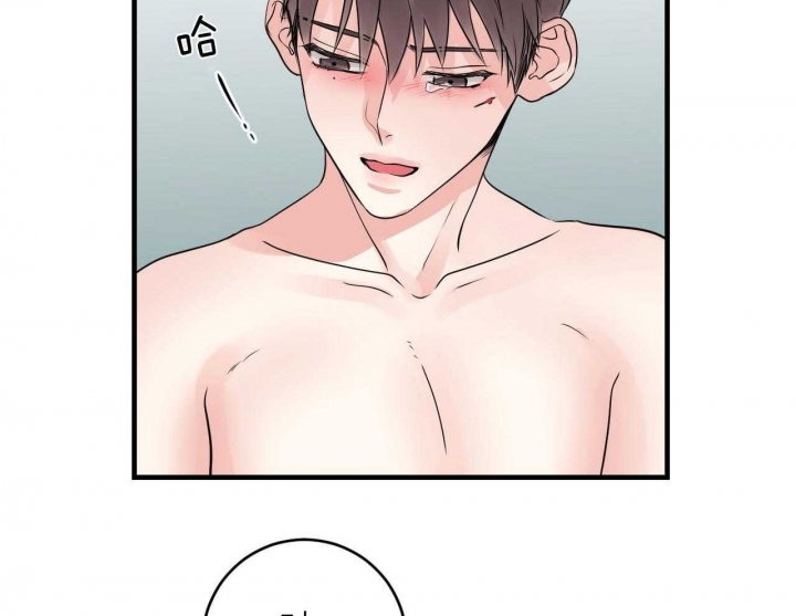 追爱家族免费观看漫画,第76话4图