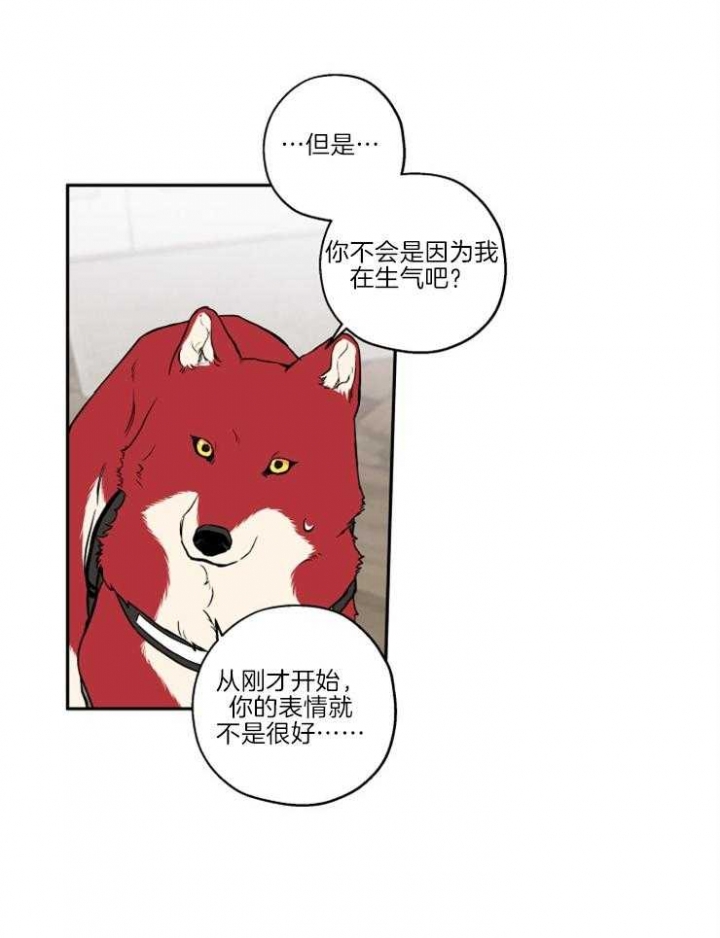 引狼入室电影未删减版在线观看漫画,第39话4图