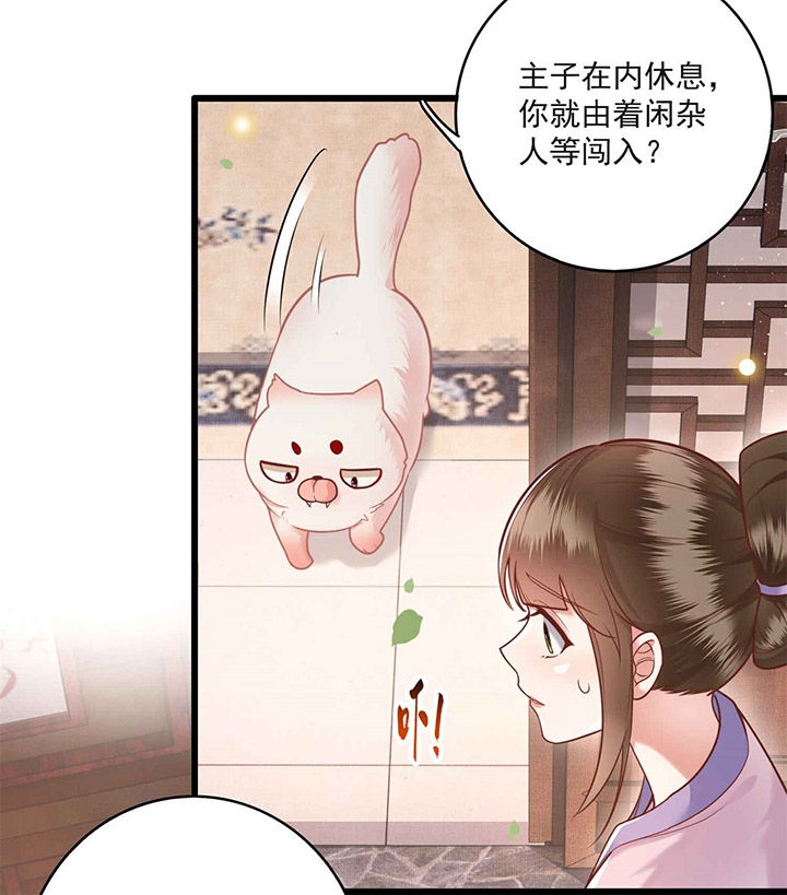 这个王妃路子野漫画免费全集漫画,第13章：把狗牵到主人面前打3图
