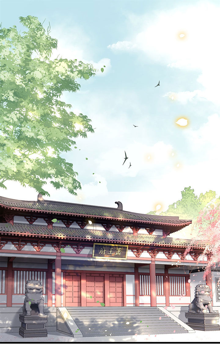 这个王妃路子野一口气看完漫画,第12章：世人皆爱美1图