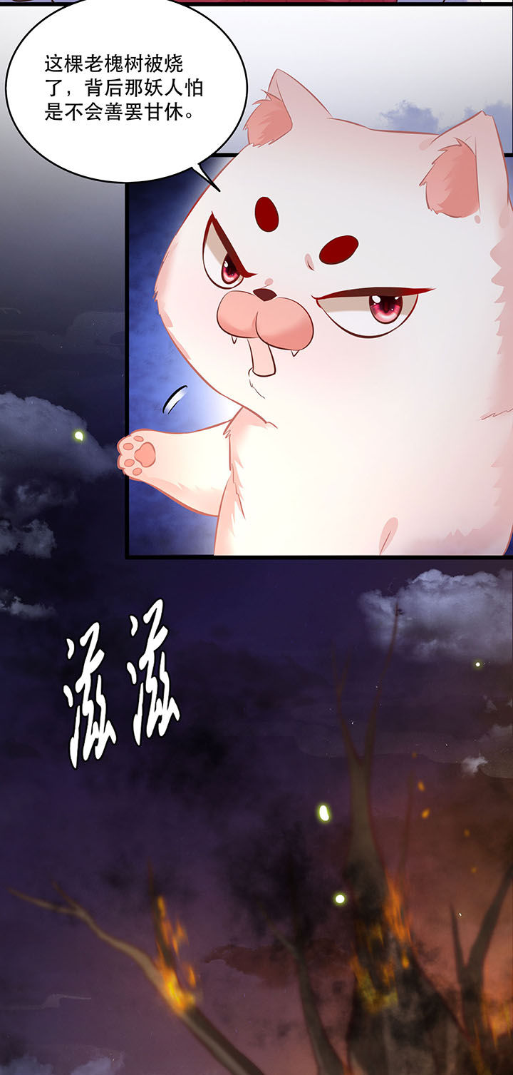 这个王妃路子野漫画,第20章：逼本座翻脸是吧！1图