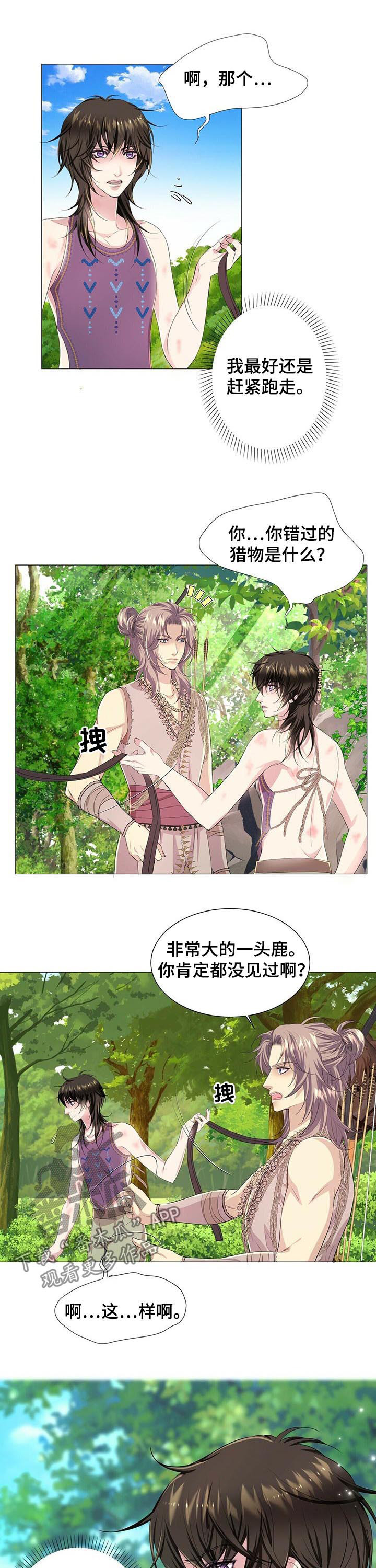 第41章：真相1