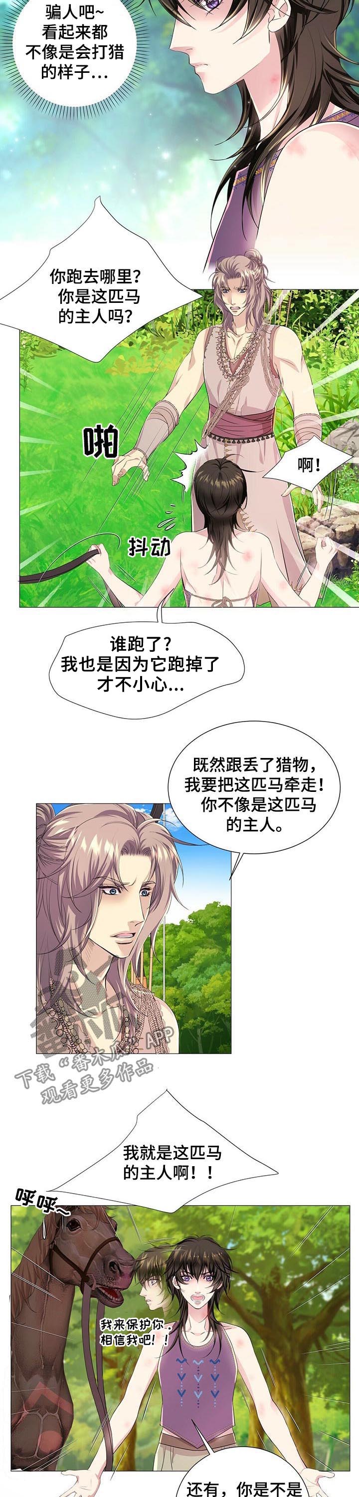 第41章：真相2