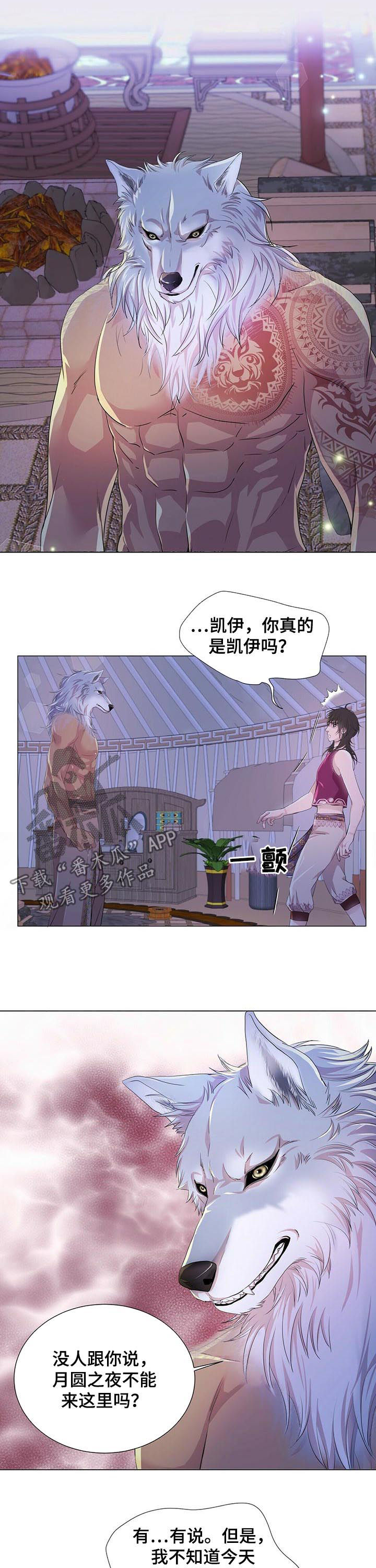 第53章：香味4