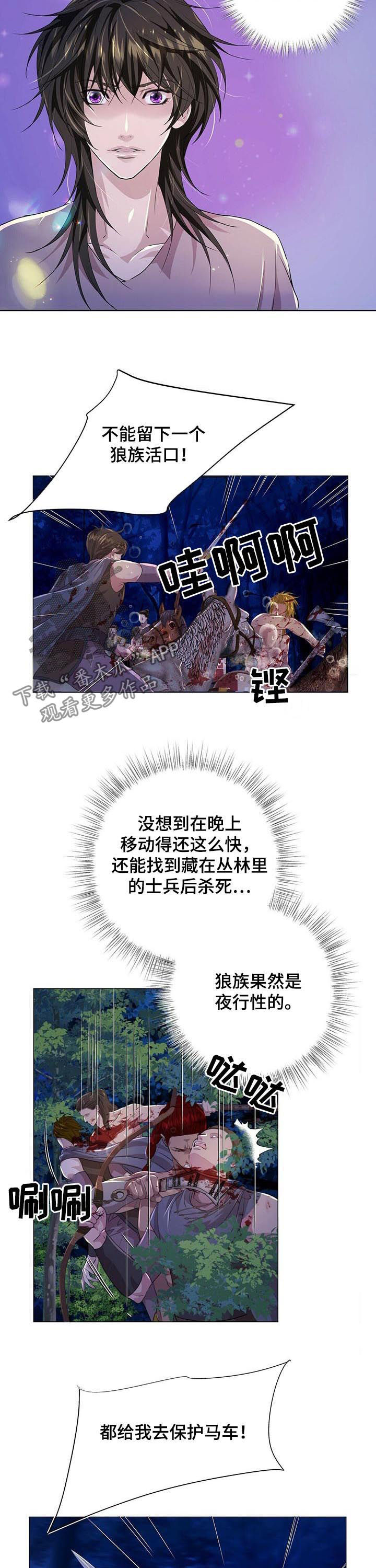 第69章：攻击2