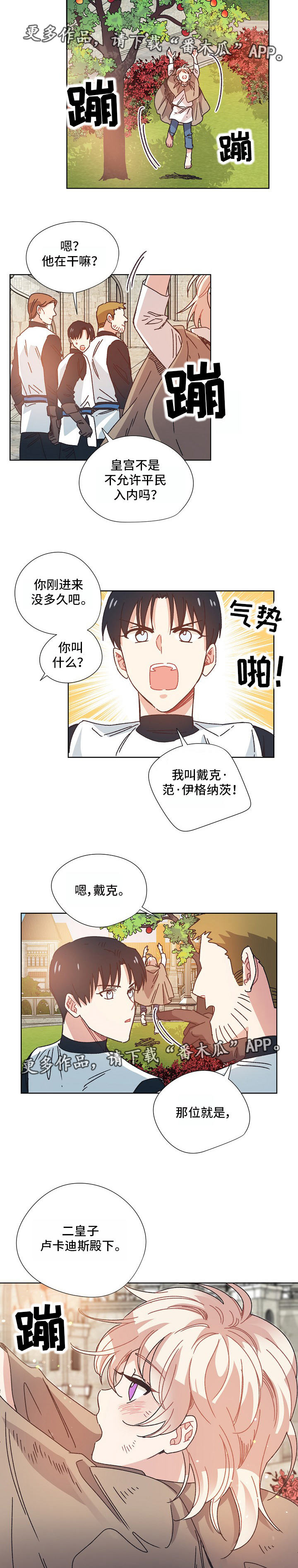 第19章：太子妃4