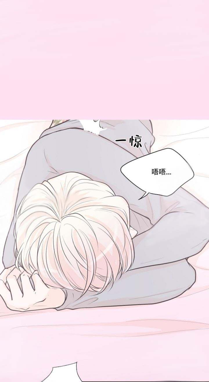 测评纸尿裤结果漫画,第19话1图