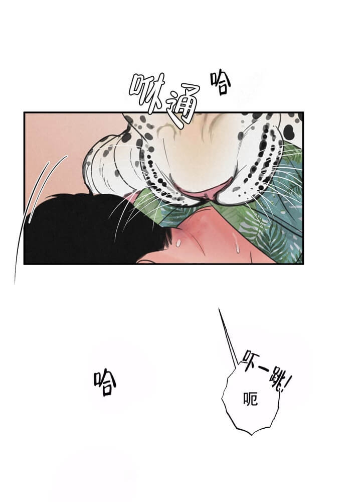 丛林游戏漫画,第13话2图