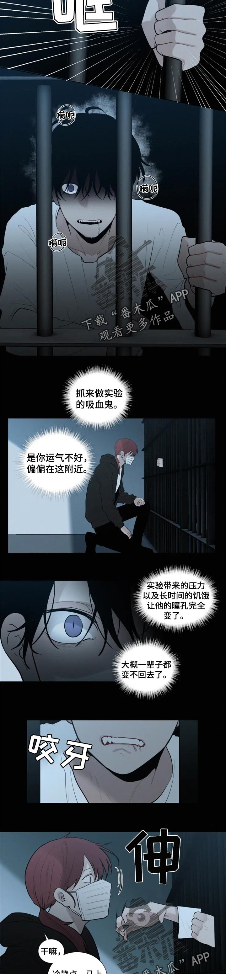 第98章：试验4