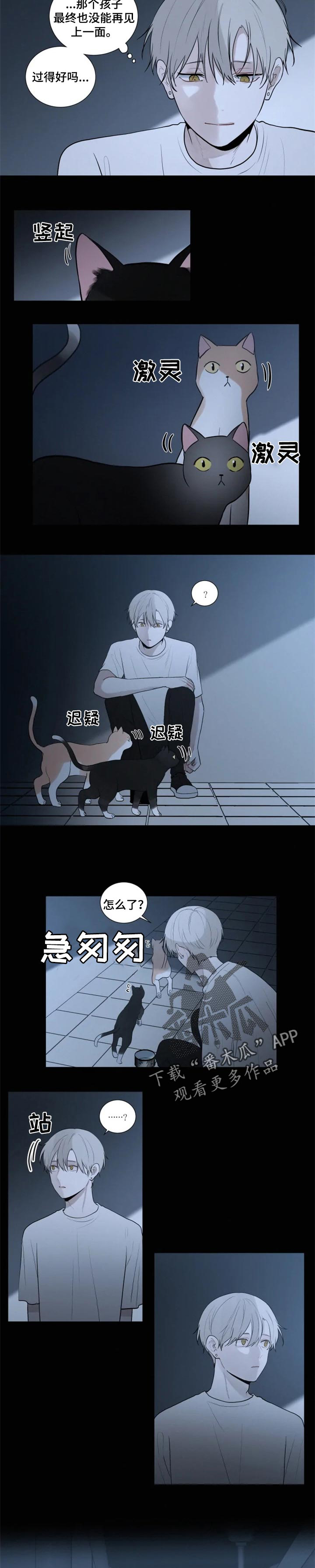 第99章：逃跑1