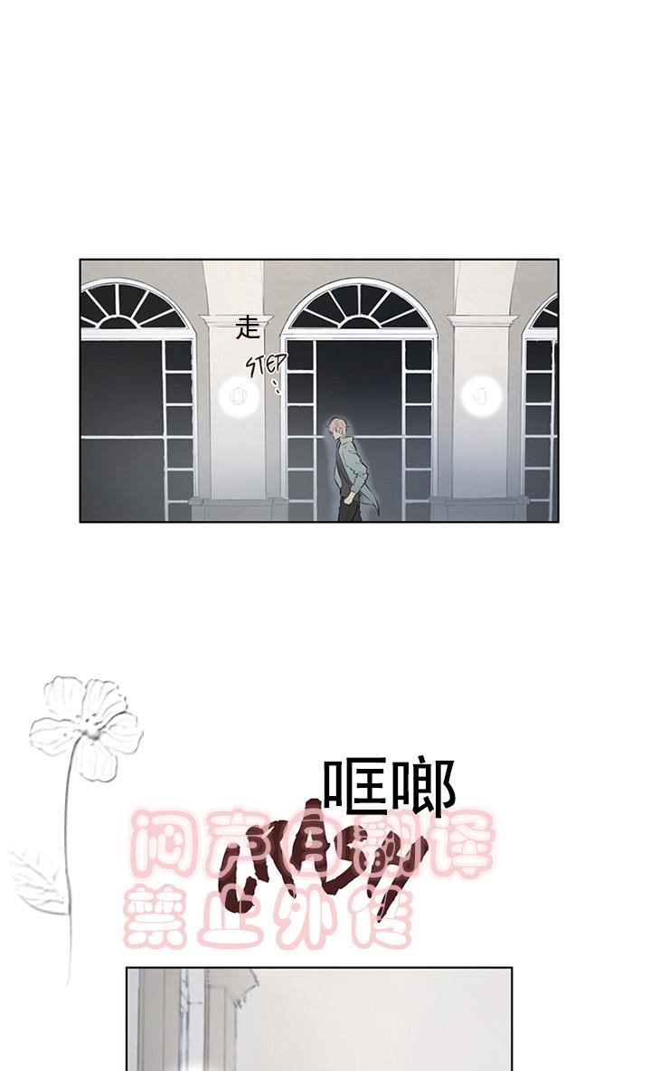 皇家纸牌漫画,第54话1图