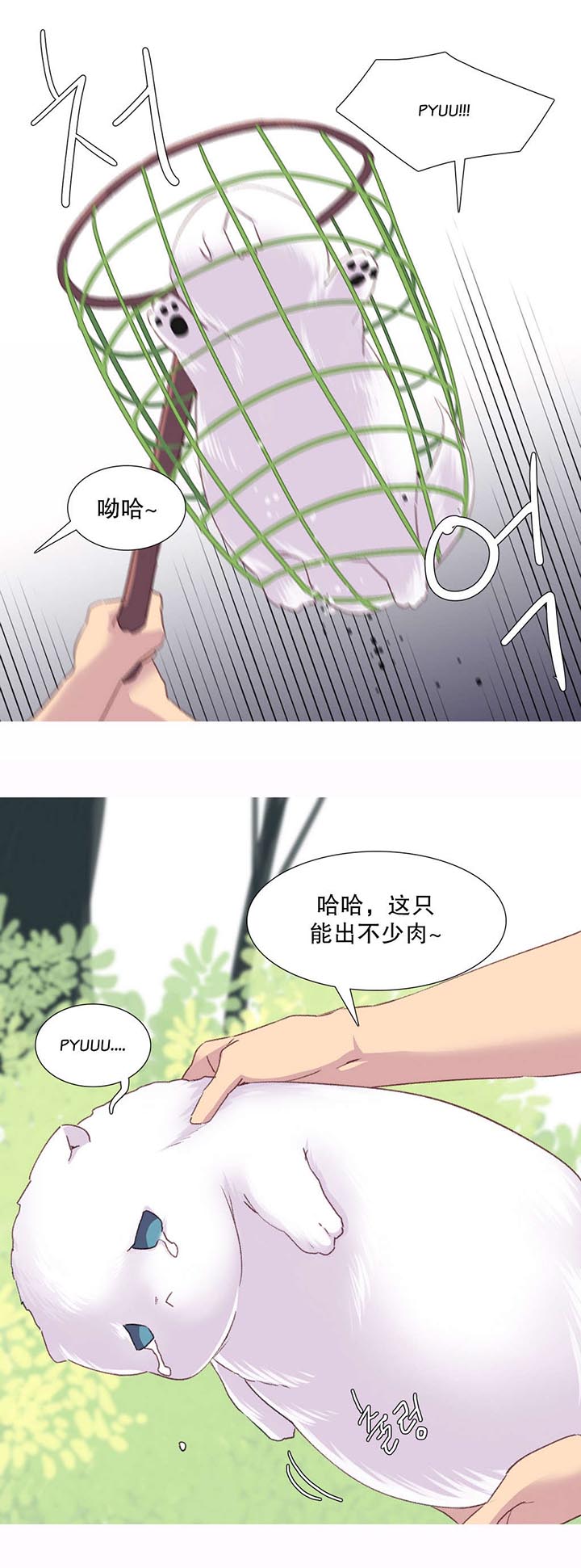 精灵小姐瘦不了漫画在线看完整漫画,第29章：失败5图