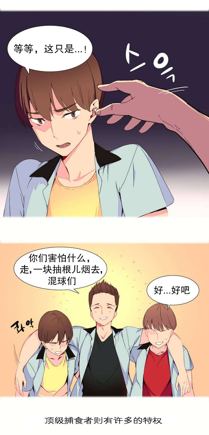 精灵小岛韩漫在线阅读漫画,第1章：捕食者4图