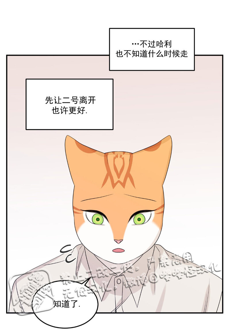 第11话3