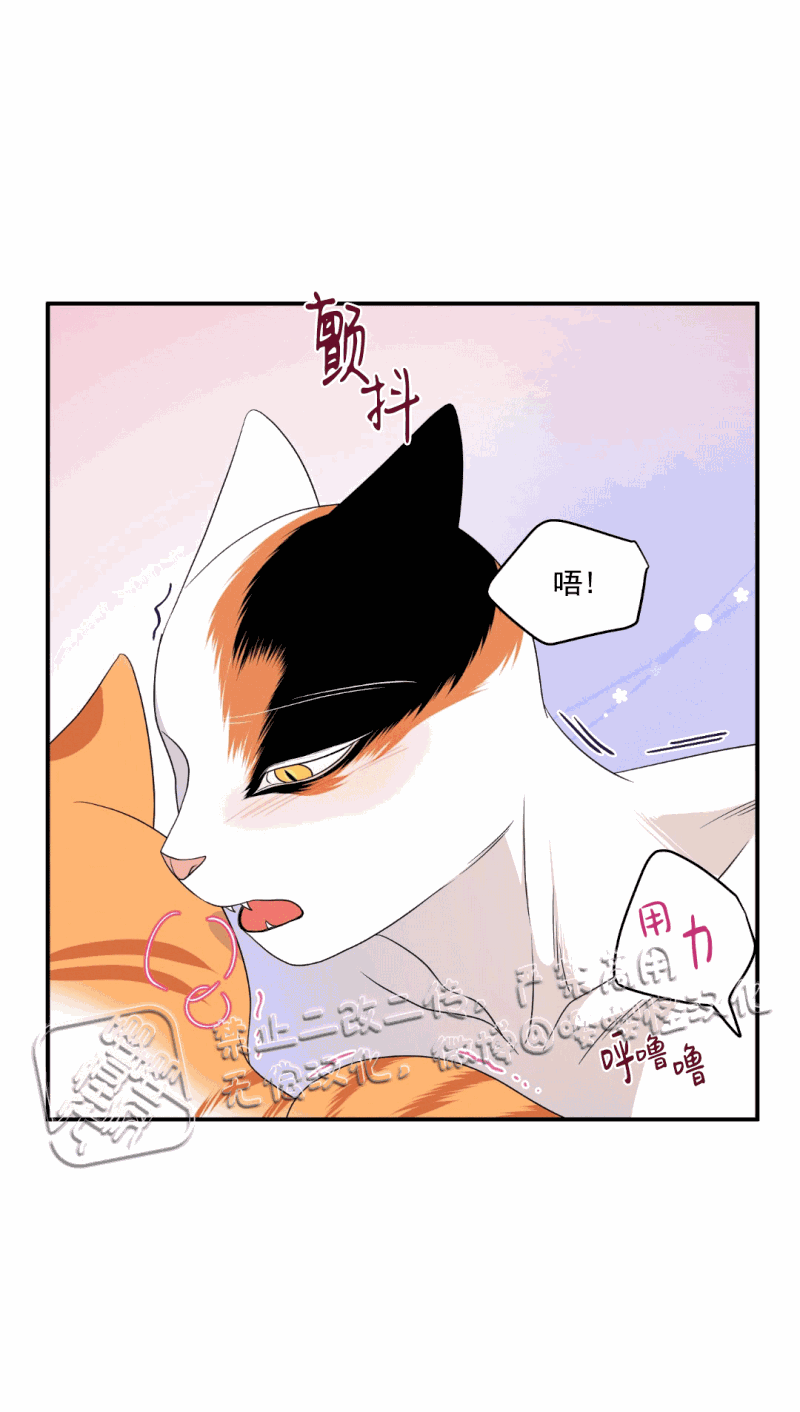 第07话4