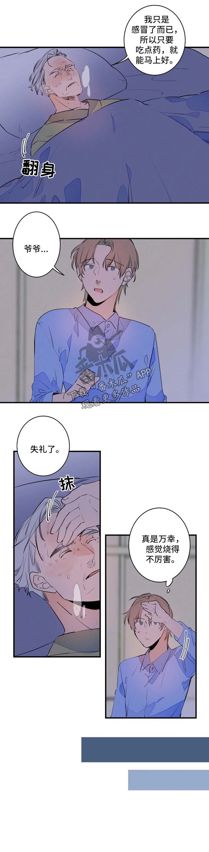 结婚合金筷子漫画,第40章：退烧4图
