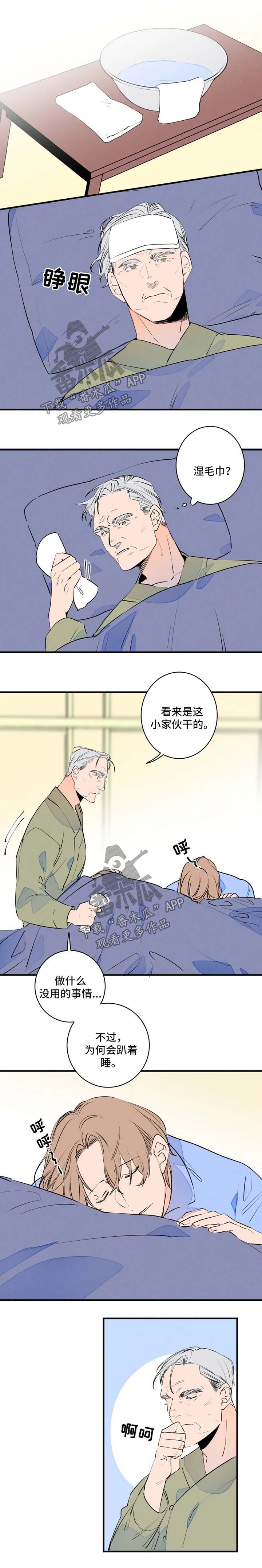 结婚合金筷子漫画,第40章：退烧5图
