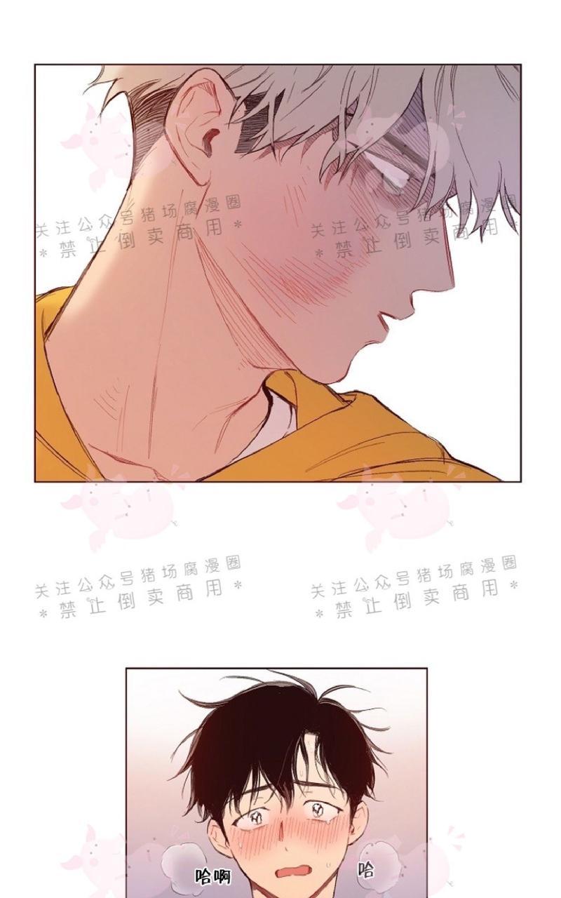 给我电视剧式的爱情百度网盘漫画,第4话1图