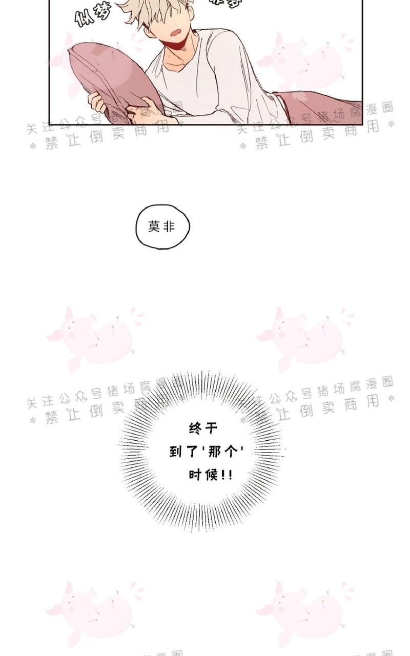 给我播放个爱情电视剧漫画,第3话4图