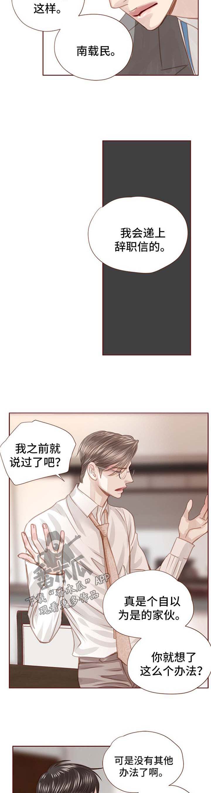轻狂不年少漫画,第52章：辞职4图