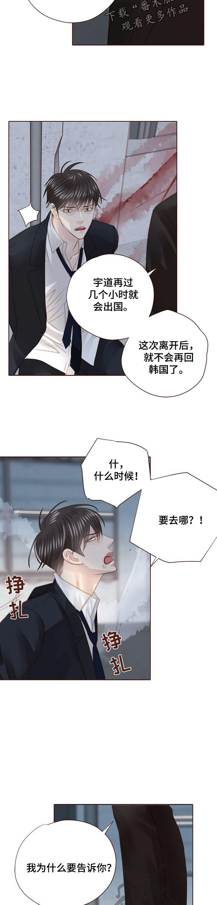 小说 年少轻狂漫画,第115章：出国2图