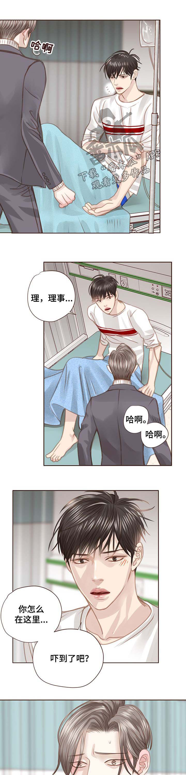 年少轻狂不知愁下一句是什么漫画,第84章：调查结果3图
