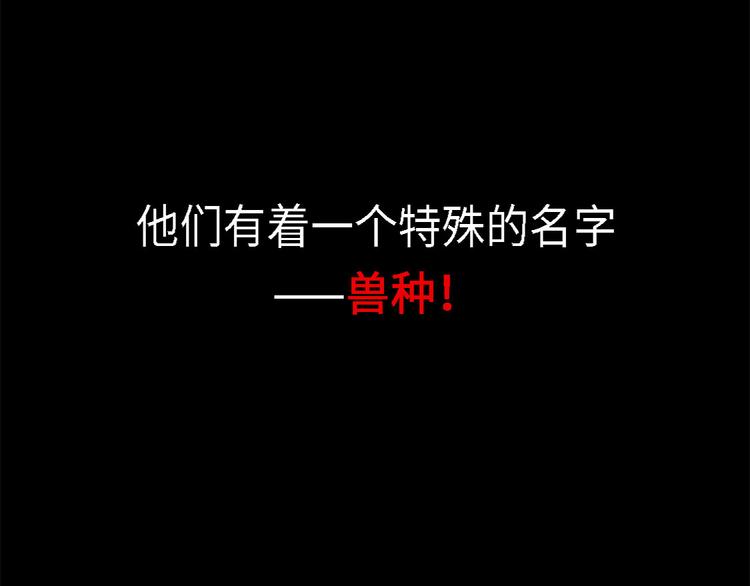 第1话 深夜追击4