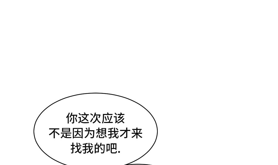都市动物物种漫画,第26话 小猎犬1图