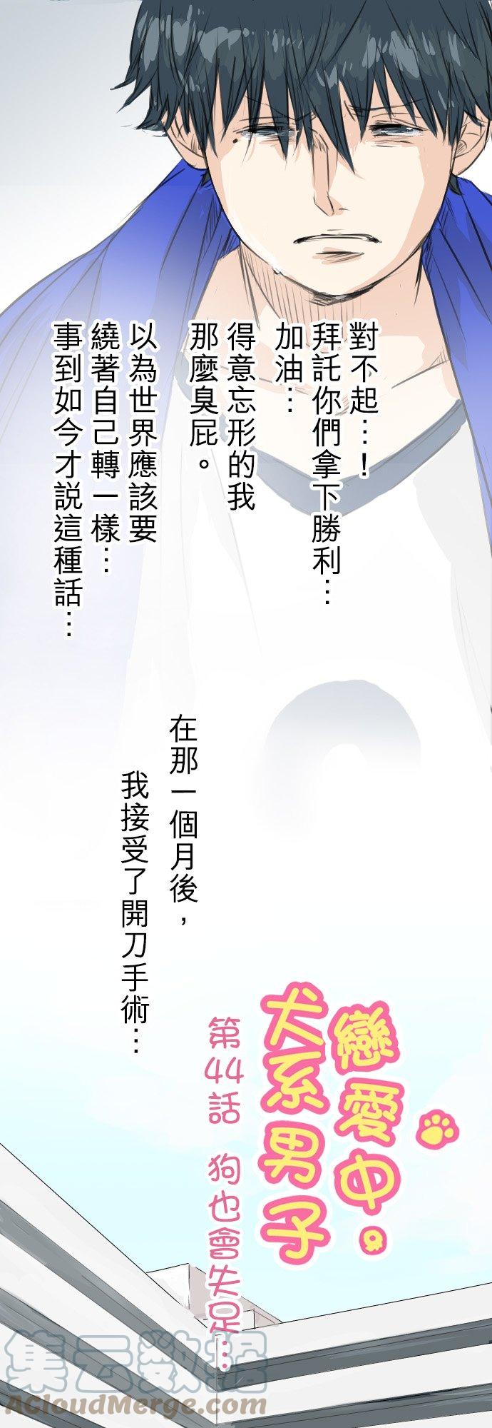 第44话 狗也会失足2