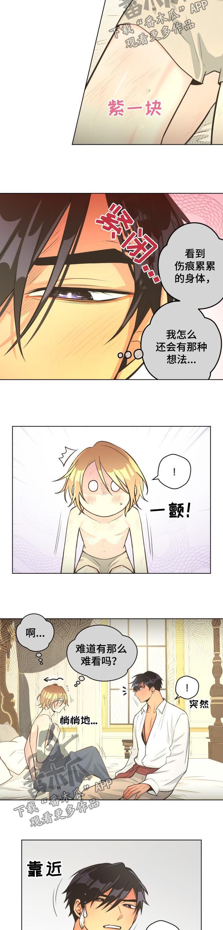 第44章：故意的？2