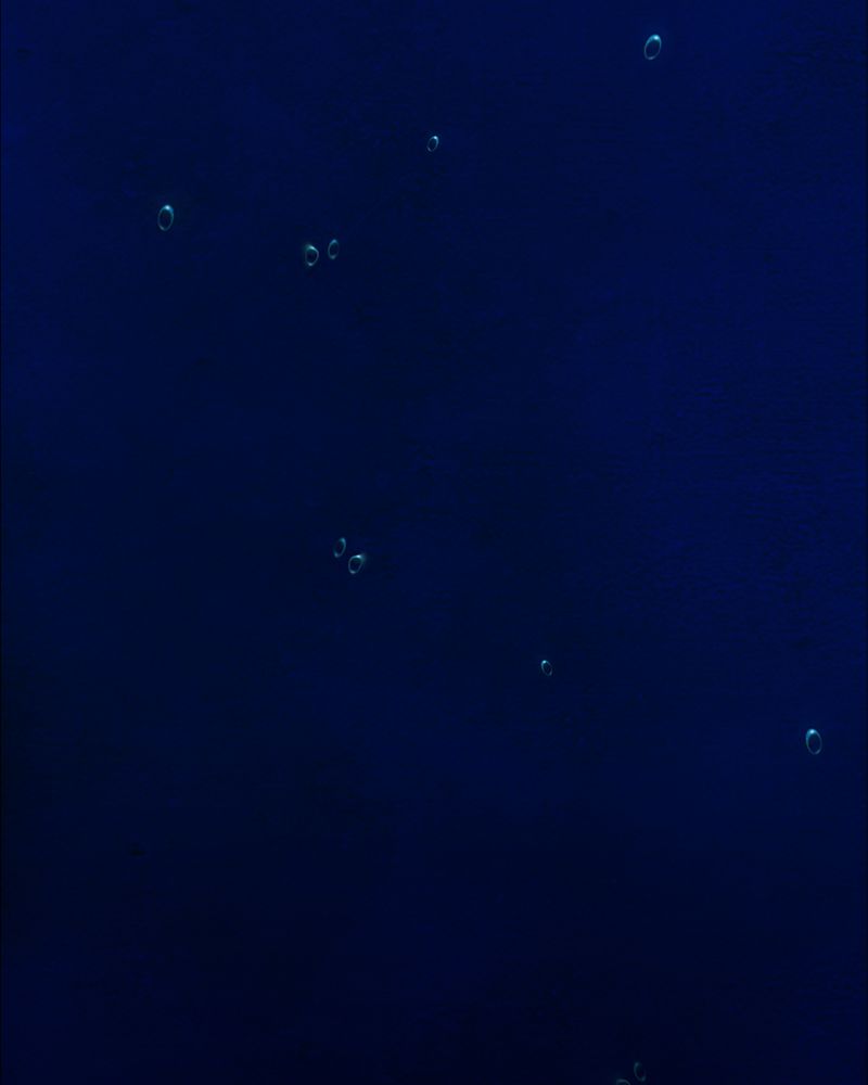 第16章：牵挂（一）3