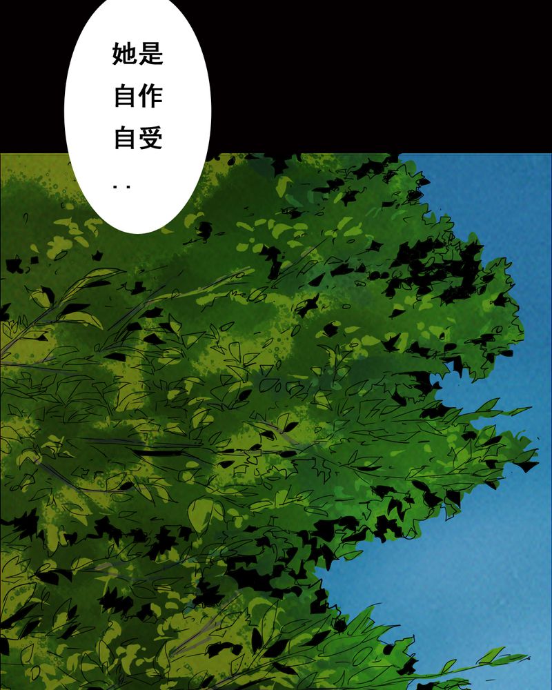第35章：复仇（三）2