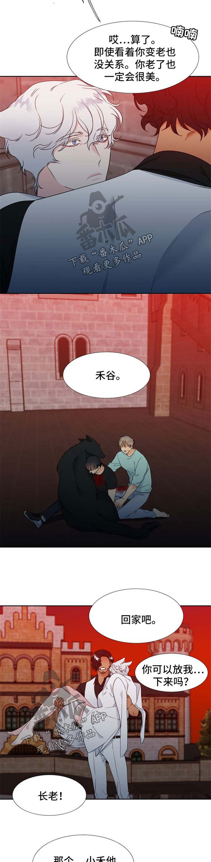 狼的天敌漫画,第187章：【第二季】组建一个幸福家庭3图