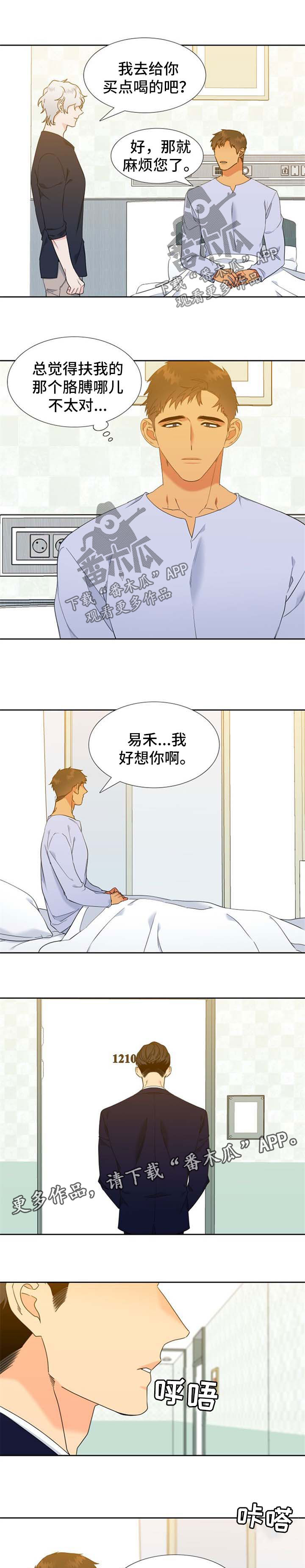 狼的香气漫画,第206章：【第二季】求婚2图