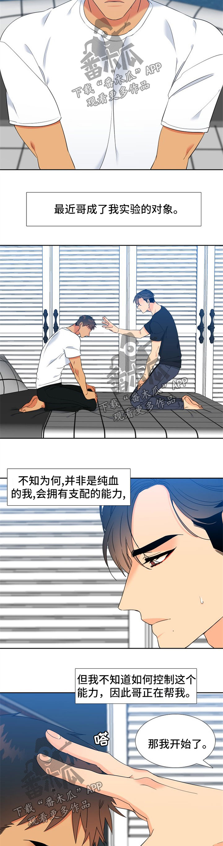第227章：【第二季】下一任狼族首领1