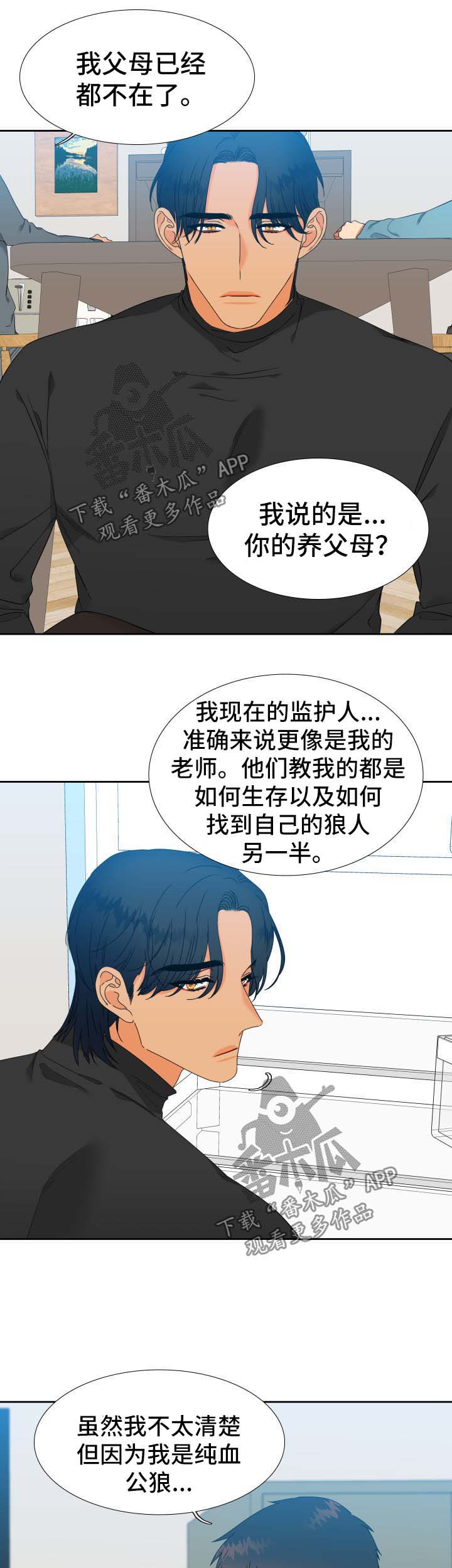 狼的天敌漫画,第143章：【第二季】捏造记忆3图