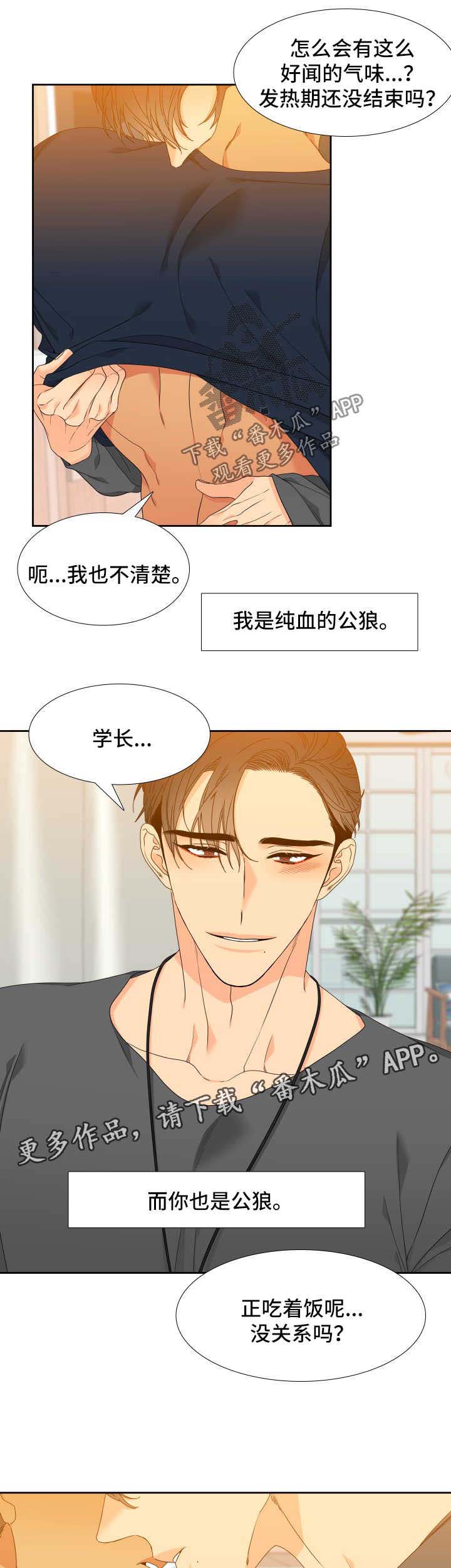 狼的英语怎么读漫画,第123章：【第二季】标记5图