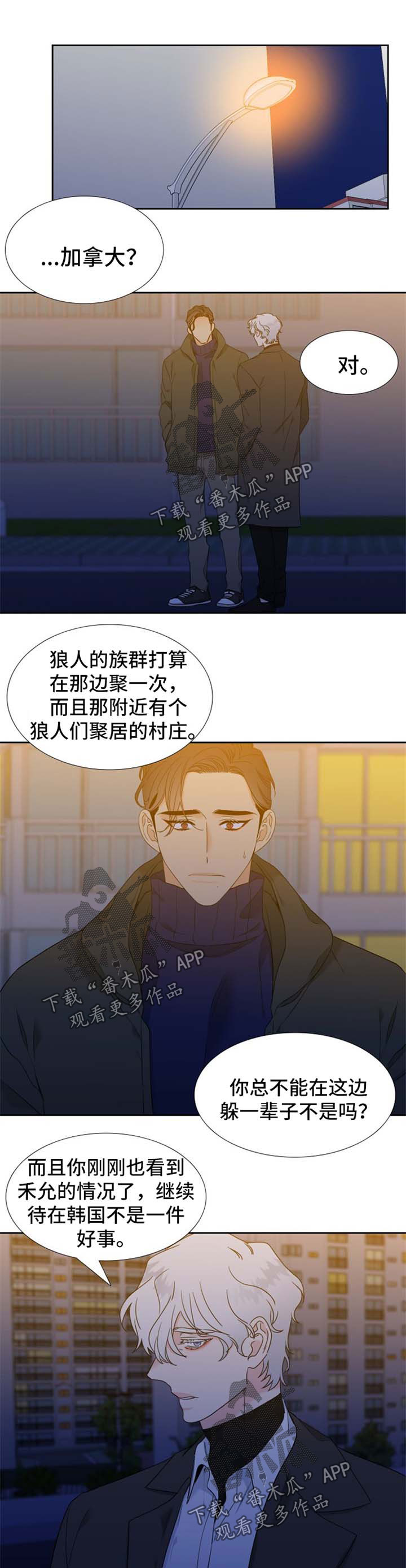 狼的天敌漫画,第233章：【第二季】加拿大1图